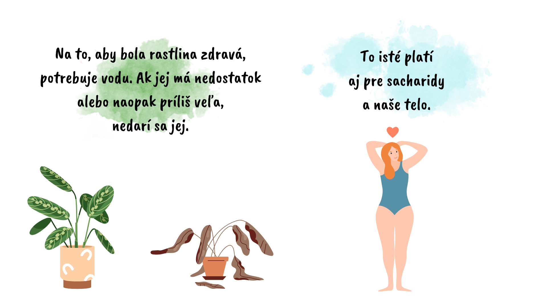 Mozog a kvet - infografika